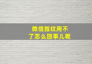 微信指纹用不了怎么回事儿呢