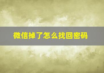 微信掉了怎么找回密码