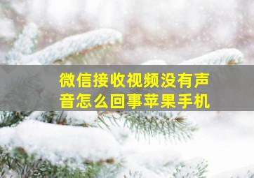 微信接收视频没有声音怎么回事苹果手机