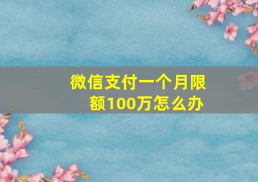 微信支付一个月限额100万怎么办