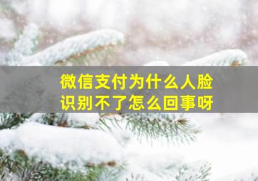 微信支付为什么人脸识别不了怎么回事呀