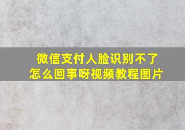 微信支付人脸识别不了怎么回事呀视频教程图片