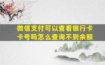 微信支付可以查看银行卡卡号吗怎么查询不到余额