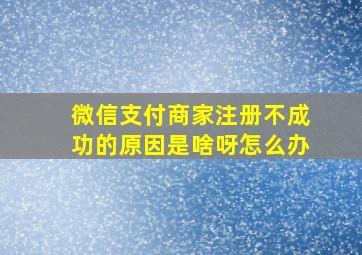 微信支付商家注册不成功的原因是啥呀怎么办