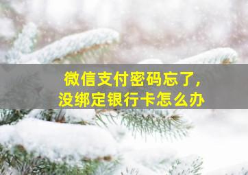 微信支付密码忘了,没绑定银行卡怎么办