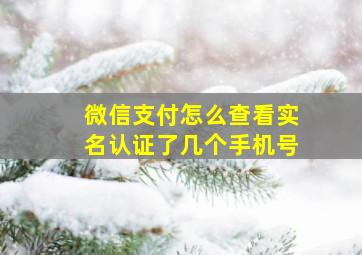 微信支付怎么查看实名认证了几个手机号