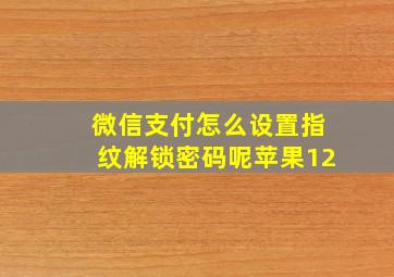 微信支付怎么设置指纹解锁密码呢苹果12