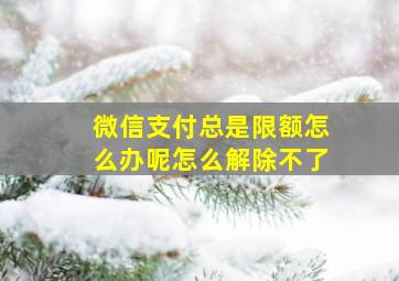 微信支付总是限额怎么办呢怎么解除不了