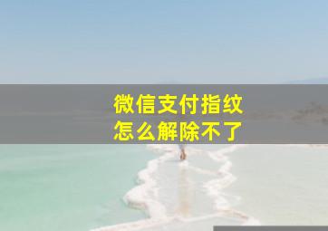 微信支付指纹怎么解除不了