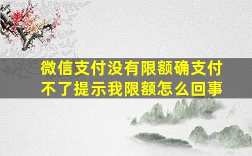 微信支付没有限额确支付不了提示我限额怎么回事