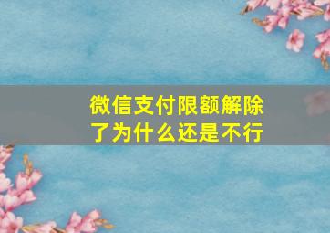 微信支付限额解除了为什么还是不行