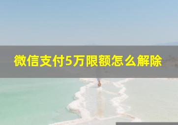 微信支付5万限额怎么解除