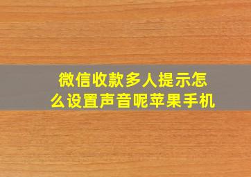 微信收款多人提示怎么设置声音呢苹果手机