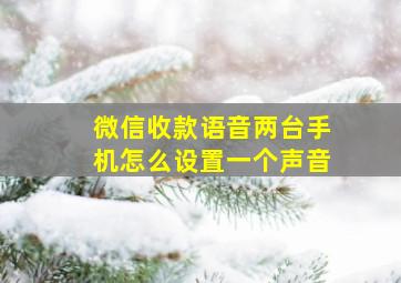 微信收款语音两台手机怎么设置一个声音