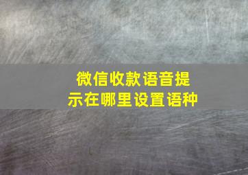 微信收款语音提示在哪里设置语种