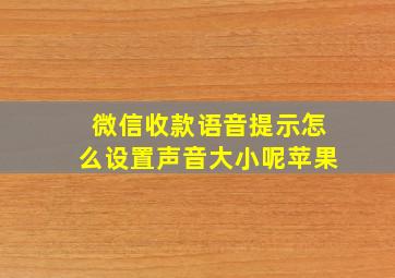 微信收款语音提示怎么设置声音大小呢苹果