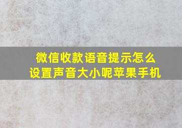 微信收款语音提示怎么设置声音大小呢苹果手机