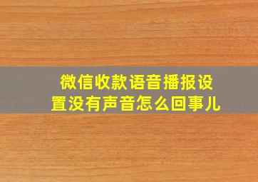 微信收款语音播报设置没有声音怎么回事儿