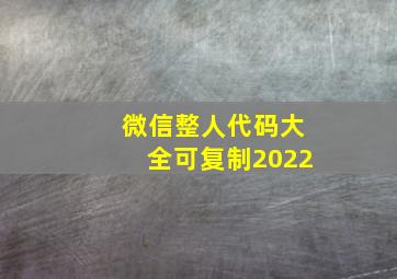 微信整人代码大全可复制2022