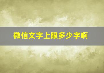 微信文字上限多少字啊