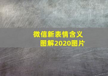 微信新表情含义图解2020图片