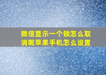 微信显示一个锁怎么取消呢苹果手机怎么设置