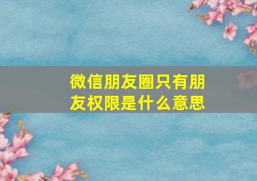 微信朋友圈只有朋友权限是什么意思