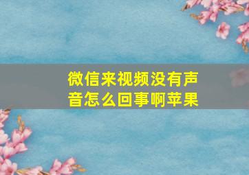 微信来视频没有声音怎么回事啊苹果