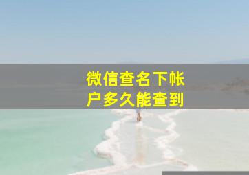 微信查名下帐户多久能查到