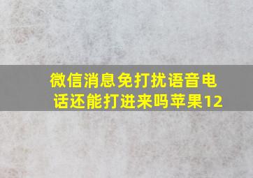 微信消息免打扰语音电话还能打进来吗苹果12