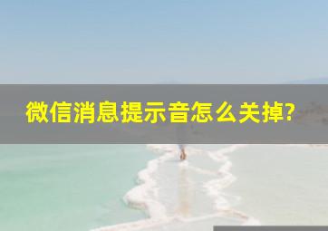 微信消息提示音怎么关掉?