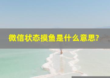 微信状态摸鱼是什么意思?