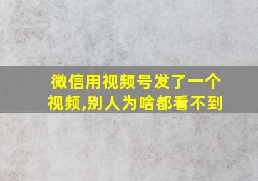 微信用视频号发了一个视频,别人为啥都看不到