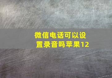 微信电话可以设置录音吗苹果12