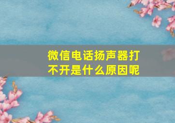 微信电话扬声器打不开是什么原因呢