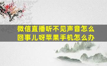 微信直播听不见声音怎么回事儿呀苹果手机怎么办