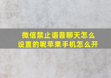 微信禁止语音聊天怎么设置的呢苹果手机怎么开