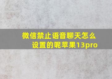 微信禁止语音聊天怎么设置的呢苹果13pro