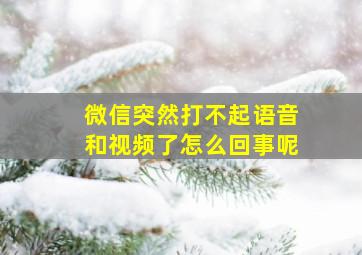 微信突然打不起语音和视频了怎么回事呢