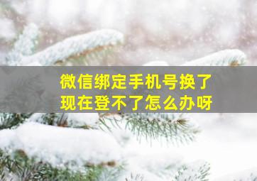 微信绑定手机号换了现在登不了怎么办呀