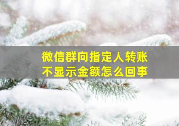 微信群向指定人转账不显示金额怎么回事