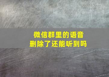 微信群里的语音删除了还能听到吗