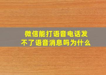 微信能打语音电话发不了语音消息吗为什么