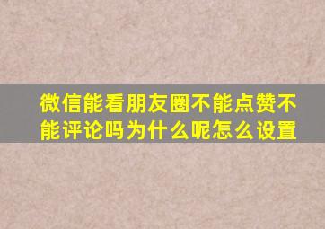 微信能看朋友圈不能点赞不能评论吗为什么呢怎么设置