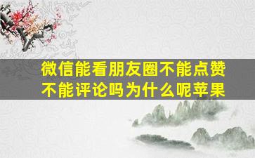 微信能看朋友圈不能点赞不能评论吗为什么呢苹果