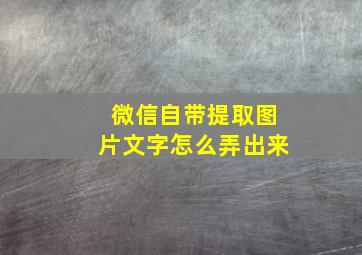 微信自带提取图片文字怎么弄出来