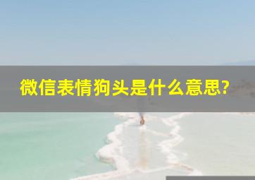 微信表情狗头是什么意思?