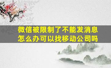 微信被限制了不能发消息怎么办可以找移动公司吗