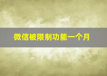 微信被限制功能一个月