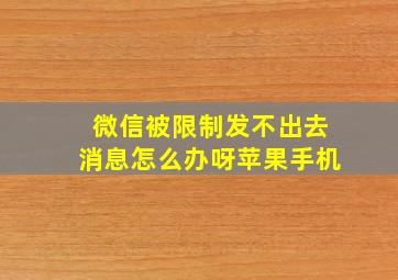 微信被限制发不出去消息怎么办呀苹果手机